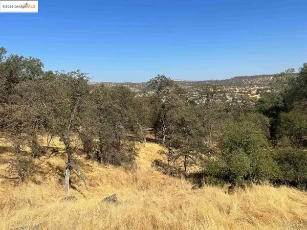 4775 Pueblo Trail, COPPEROPOLIS, CA 95228