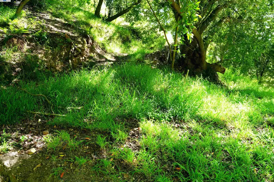 00 Willowbank Ct, Oakland, CA 94611 - Image #2