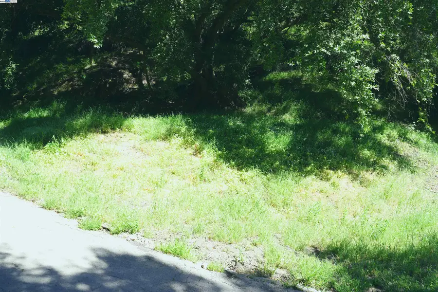 00 Willowbank Ct, Oakland, CA 94611 - Image #3