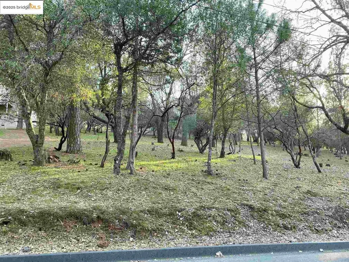 13177 Jackson Mill Drive, Groveland, CA 95321 - #1