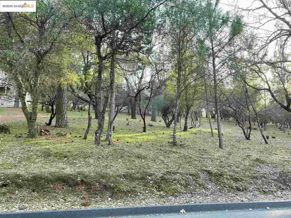 13177 Jackson Mill Drive, GROVELAND, CA 95321