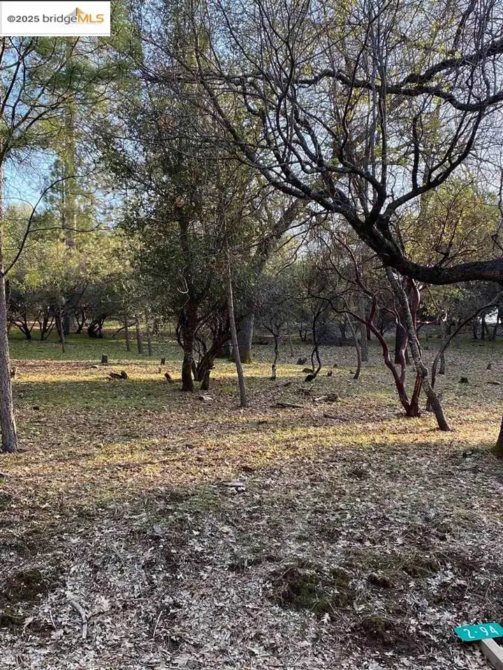 13177 Jackson Mill Drive, Groveland, CA 95321 - #3