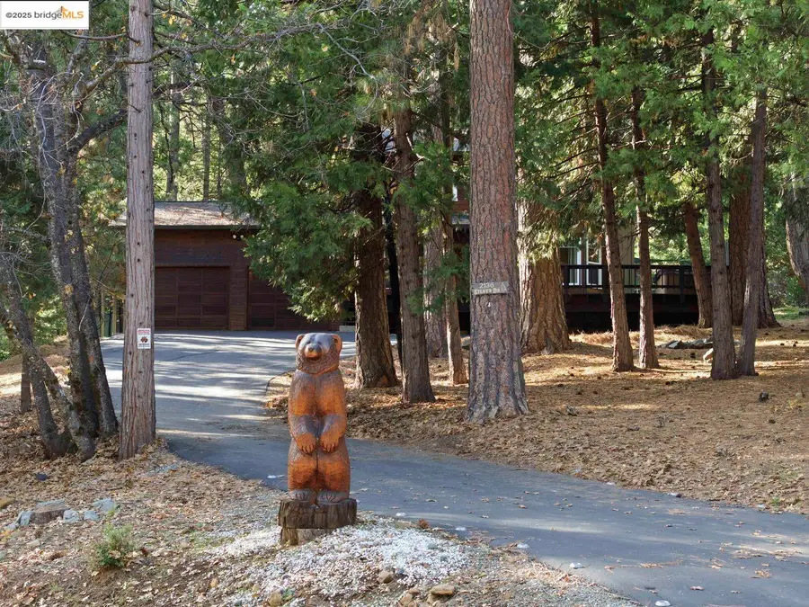 2136 Silver DR, Arnold, CA 95223 - #3