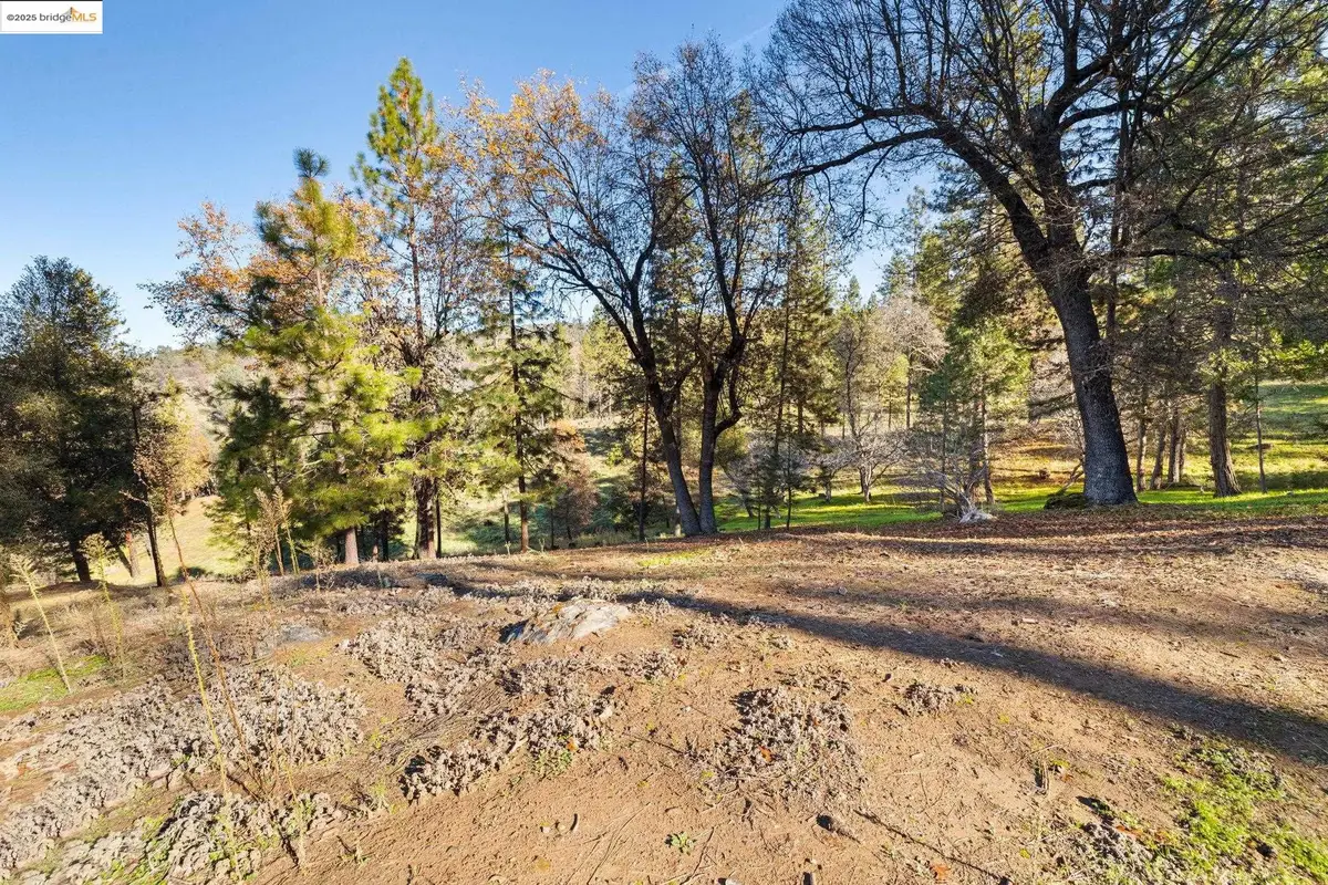 19364 Ferretti Rd, Groveland, CA 95321 - #1