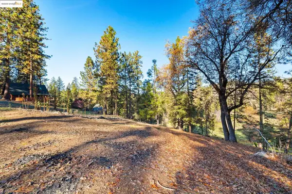 2/287 Ferretti Rd, GROVELAND, CA 95321