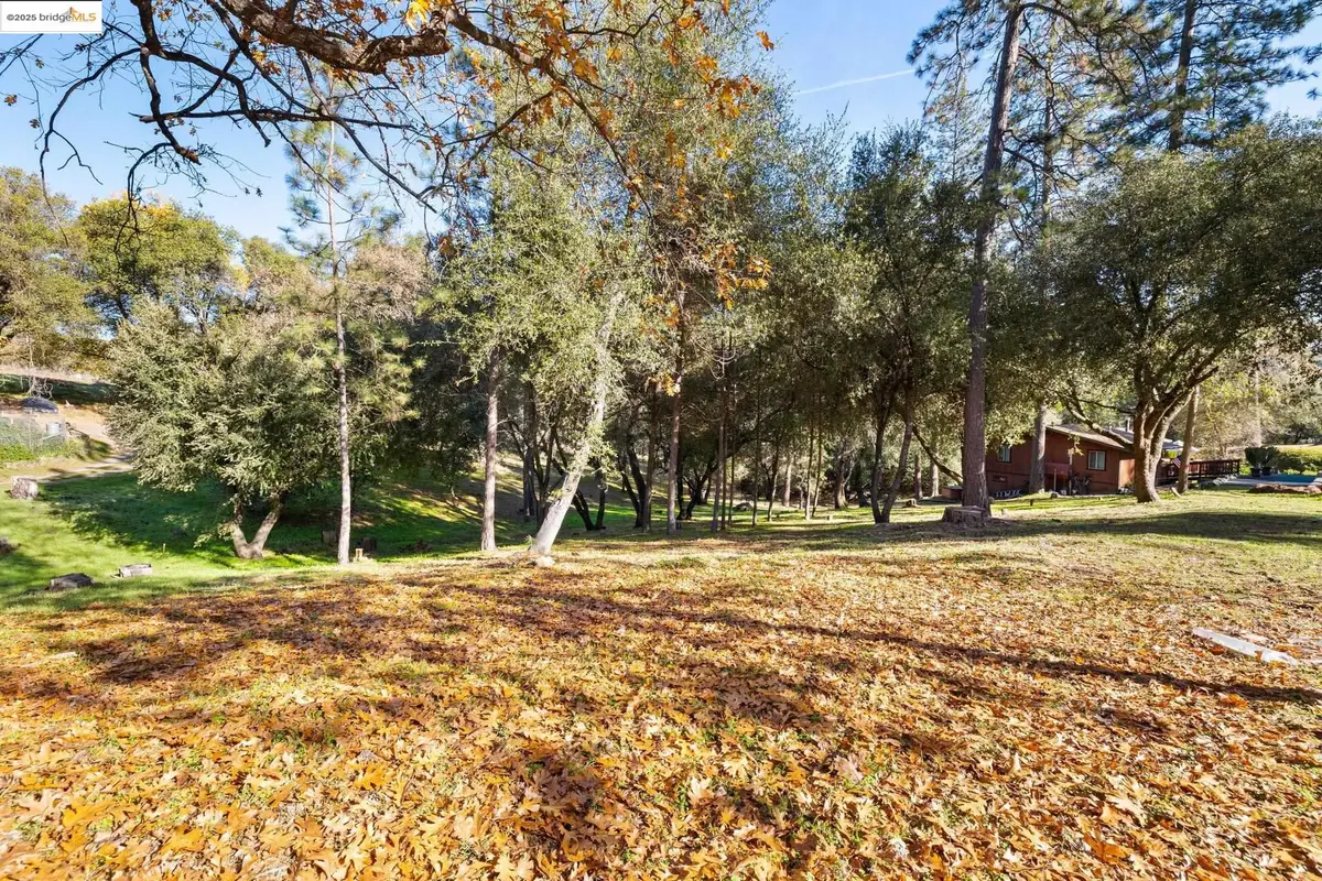 6/235 Ferretti Rd, Groveland, CA 95321 - #1