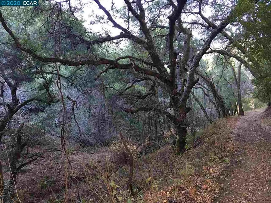 Lark Ln, Alamo, CA 94507 - Image #2