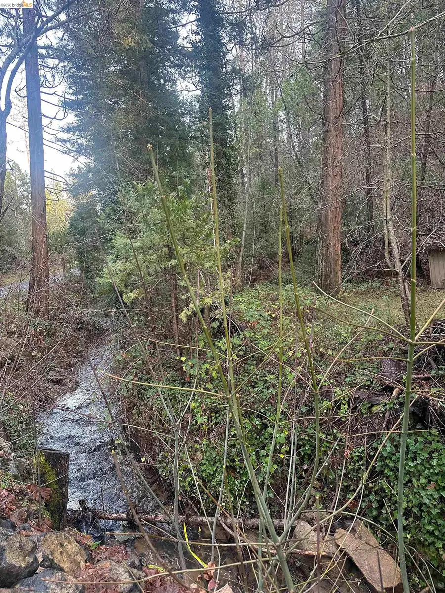 22895 S Fork Rd., Twain Harte, CA 95383 - #2