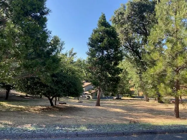20782 Buttercup Circle, Groveland, CA 95321 - #1