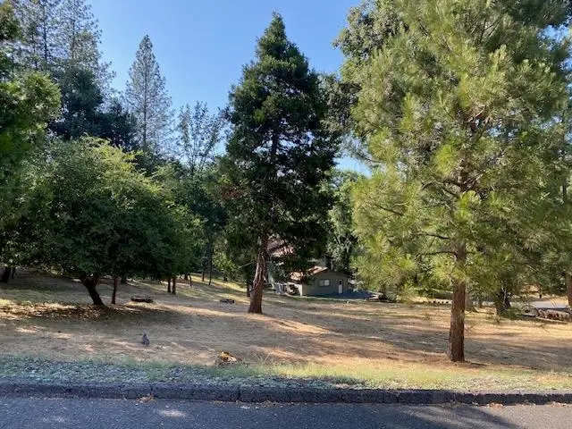 20782 Buttercup Circle, Groveland, CA 95321 - #3