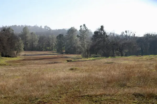 10282 Piney Creek, COULTERVILLE, CA 95311