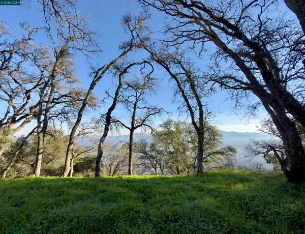 0 Castle Crest Rd, ALAMO, CA 94507