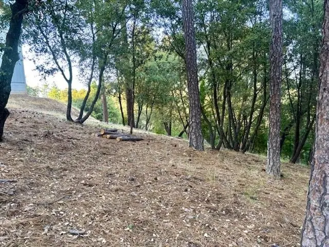 12301 Tower Peak Ct, Groveland, CA 95321 - #3