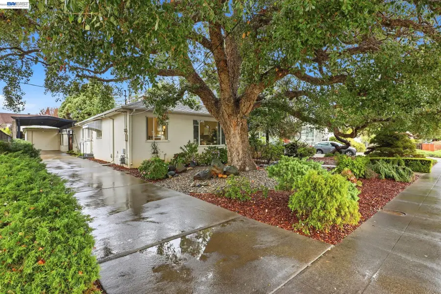 3630 Lorena Ave, Castro Valley, CA 94546 - #2