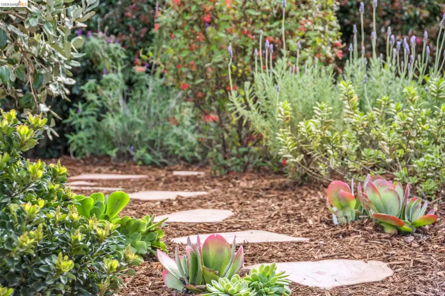 2465 Alida St, Oakland, CA 94602 - #3