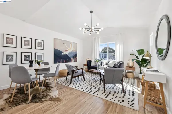 917 CHANNING WAY, BERKELEY, CA 94710