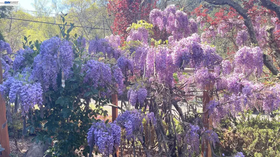 275 Orchard Rd, Orinda, CA 94563 - #3