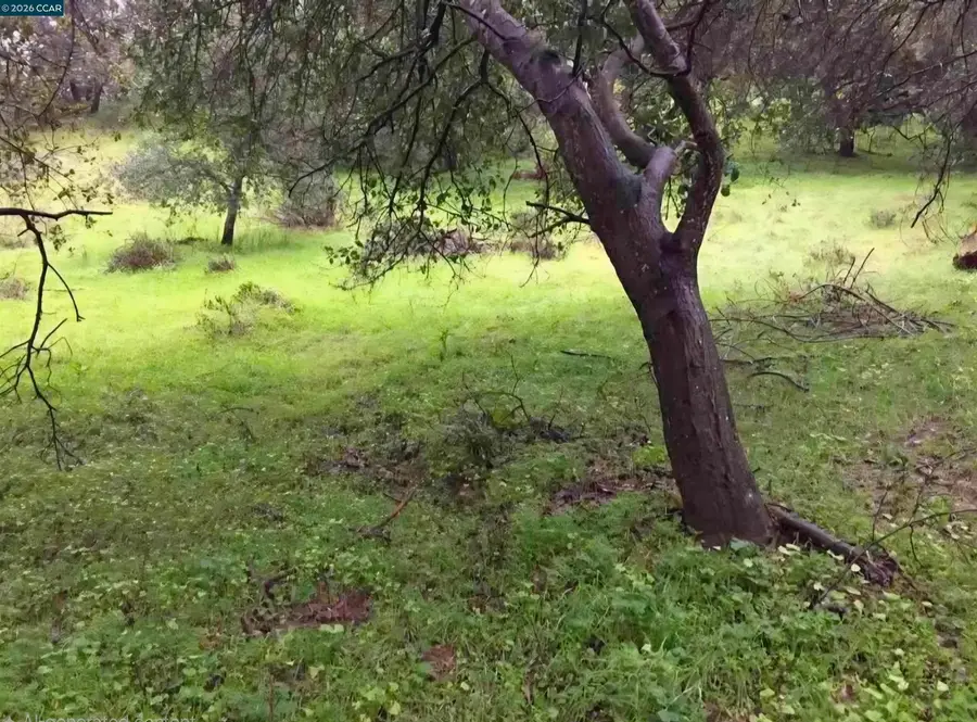 16 Brandywine Way, Martinez, CA 94553 - #3