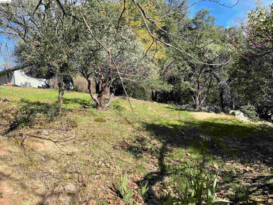 16505 Creekside Dr, Sonora, CA 95370 - #3
