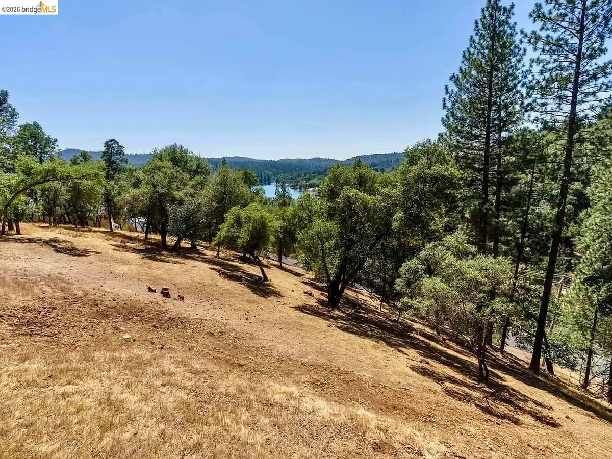 3-154 Boitano Rd, Groveland, CA 95321 - #1