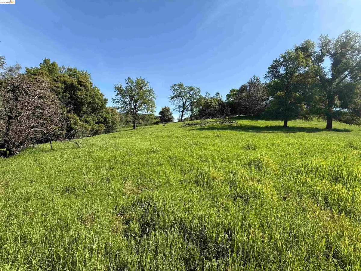 8534 Wilcox Ranch Road, Sonora, CA 95370 - #1