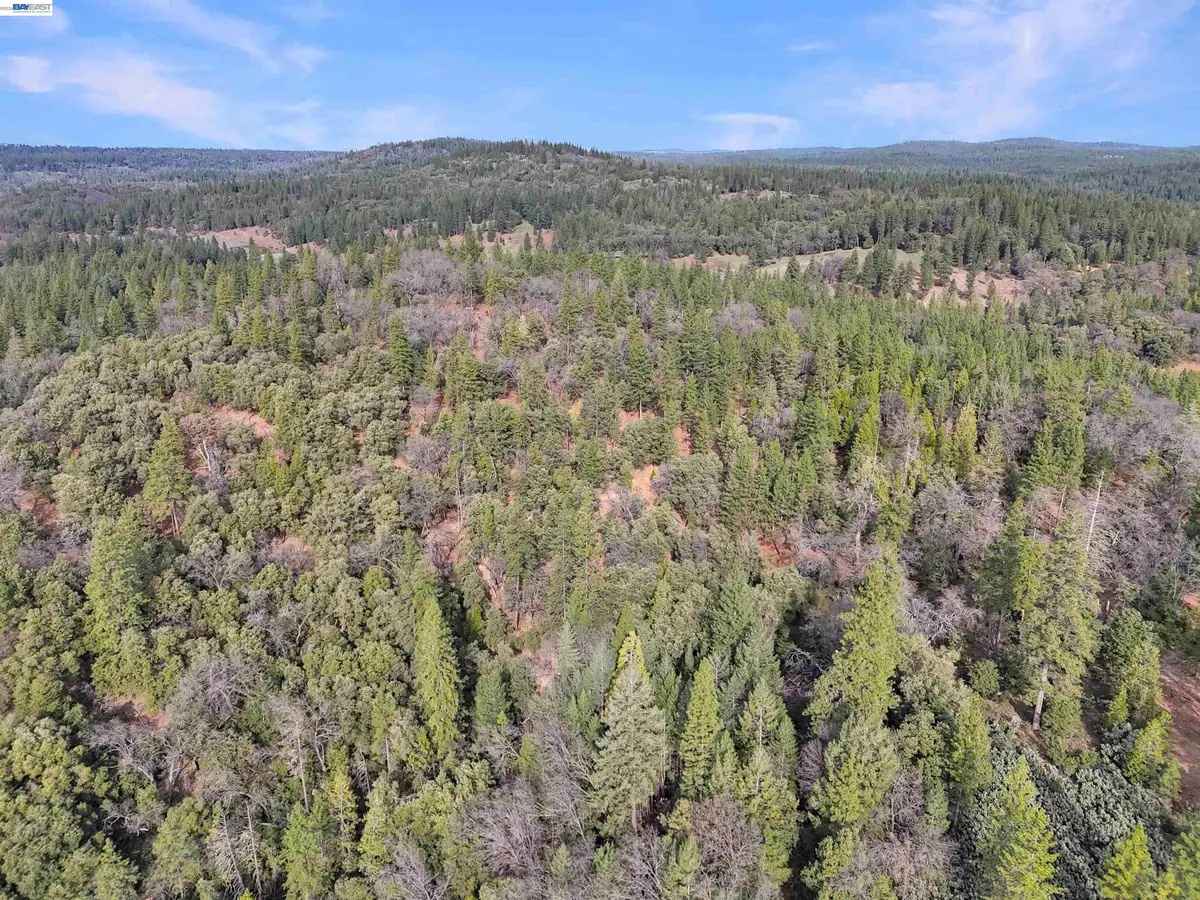 4700 Kelley Pl, Garden Valley, CA 95633 - #1