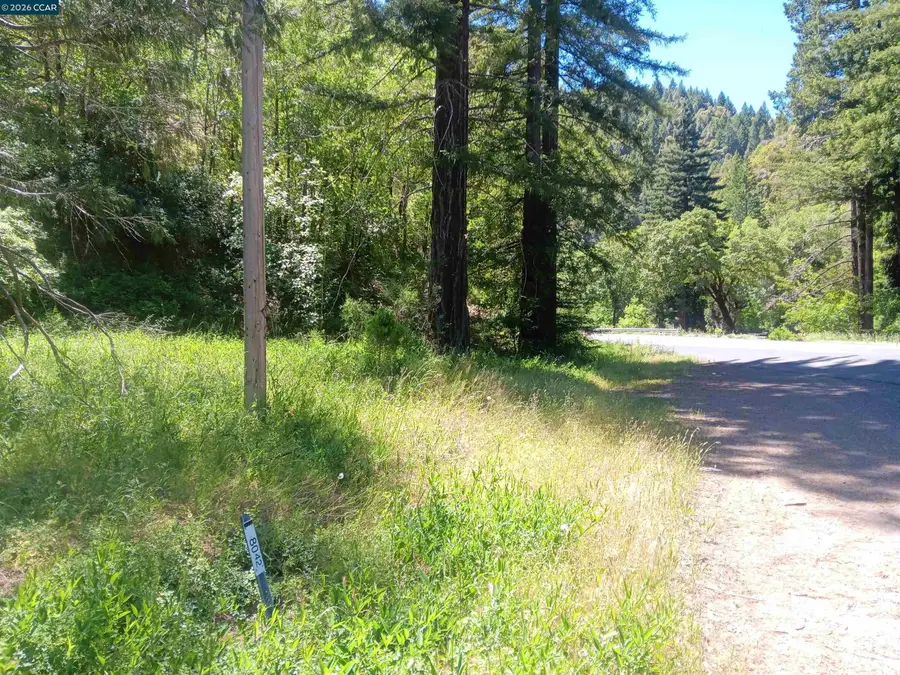 56025 HIGHWAY 101, Laytonville, CA 95454 - #3