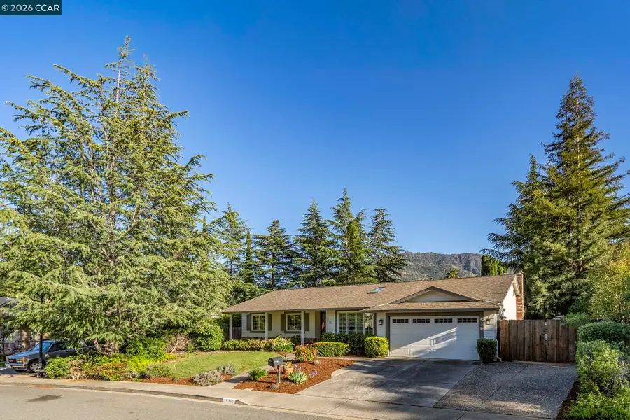 711 Bloching Cir, Clayton, CA 94517 - #2