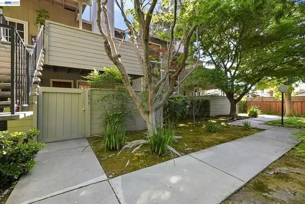 3855 Panda Pl, SAN JOSE, CA 95117