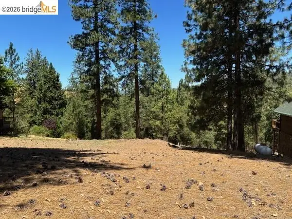 19364 Ferretti Rd, GROVELAND, CA 95321