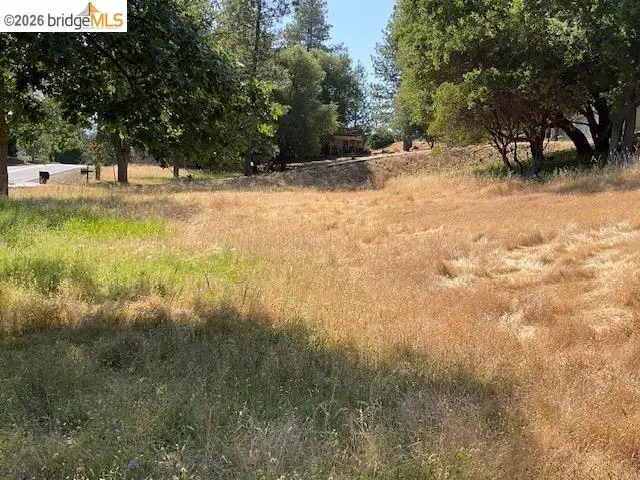 1-244 Pleasant View Dr, Groveland, CA 95321 - #1