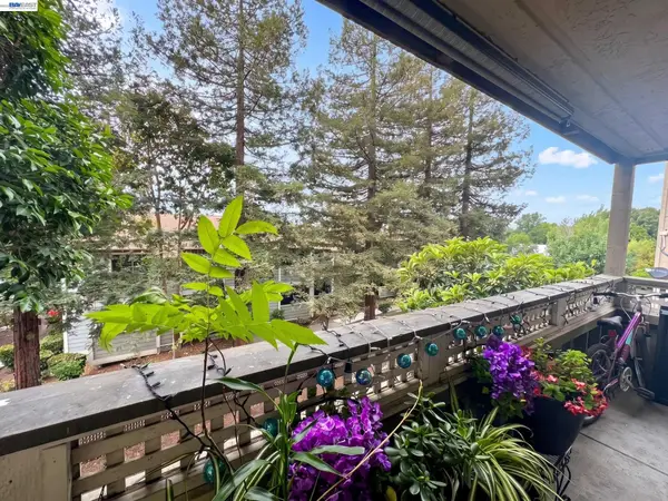 29599 Vanderbilt St  #204, HAYWARD, CA 94544