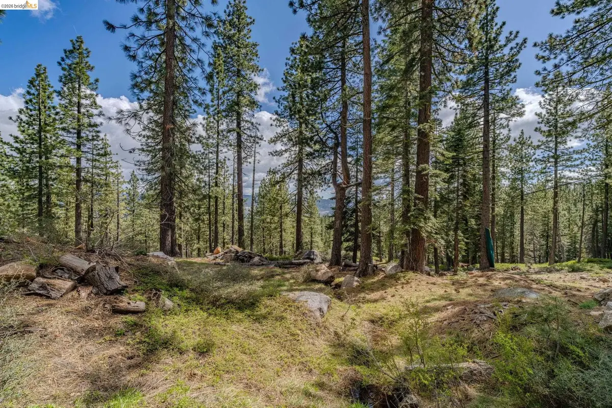1361 Summit View Rd, Arnold, CA 95223 - #1