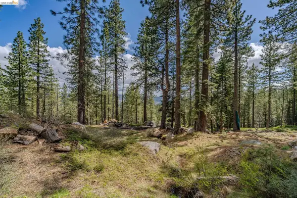 1361 Summit View Rd, ARNOLD, CA 95223