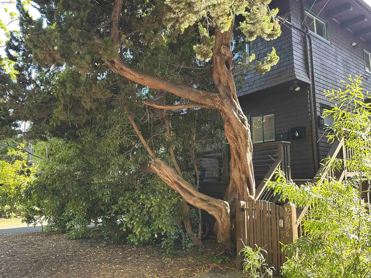 2638 Warring St  #A, Berkeley, CA 94704 - #1