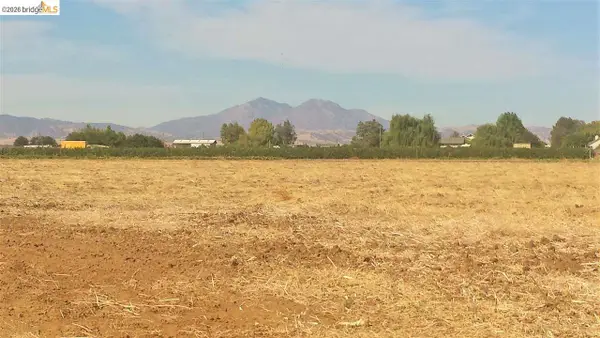 8000 BALFOUR RD, BRENTWOOD, CA 94513
