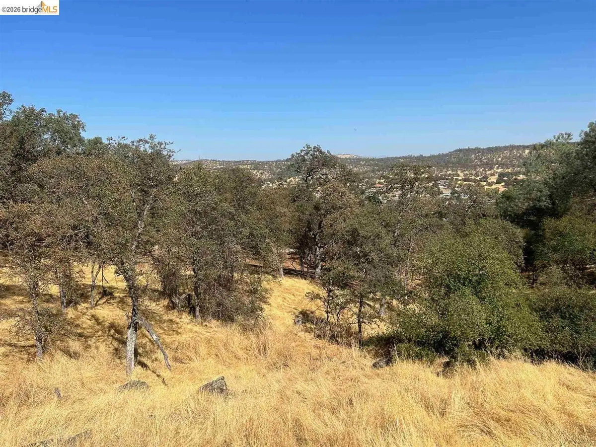 4775 Pueblo Trail, Copperopolis, CA 95228 - #1