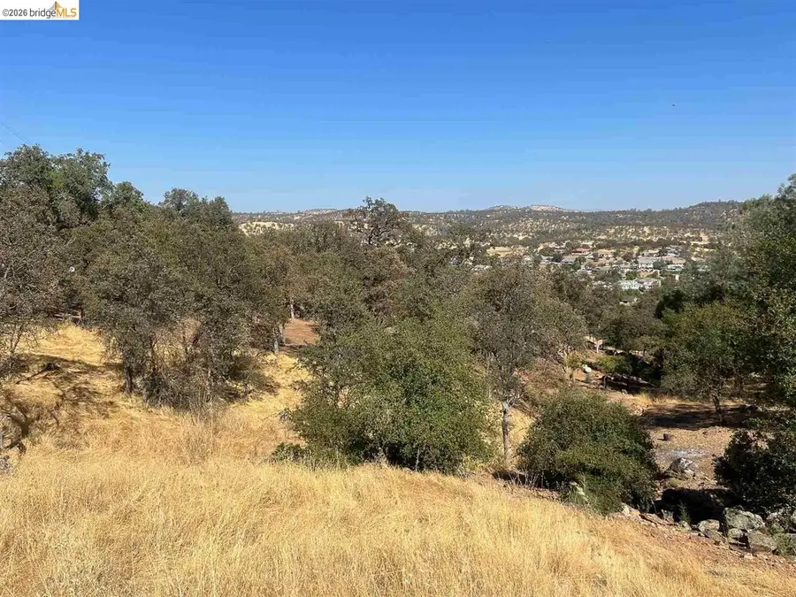 4775 Pueblo Trail, Copperopolis, CA 95228 - #2