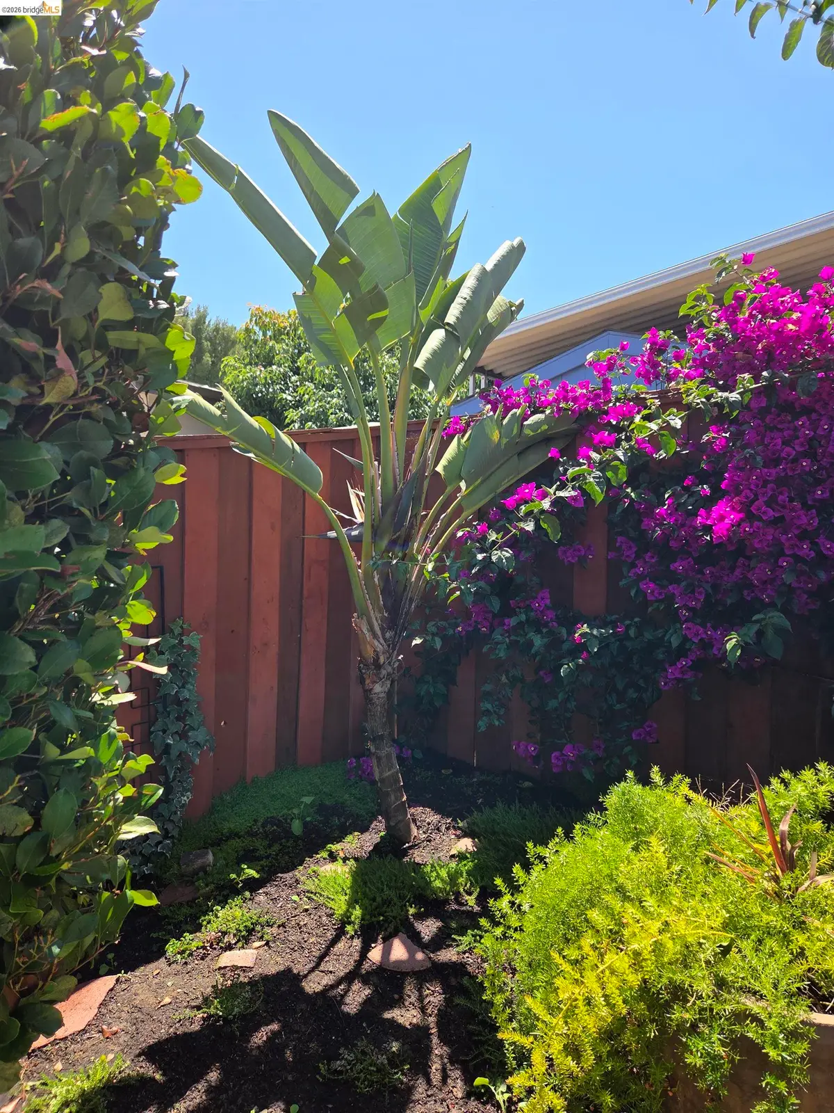 125 Paulette Way, Antioch, CA 94509 - #1