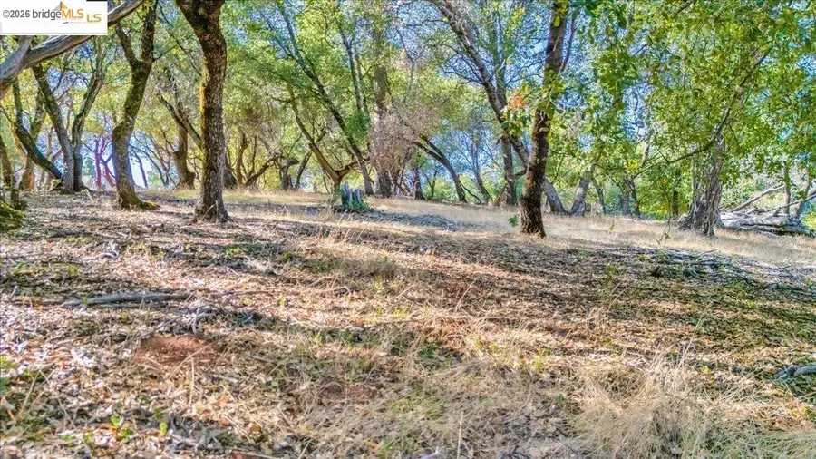 20275 Ferret CT, Groveland, CA 95321 - #2