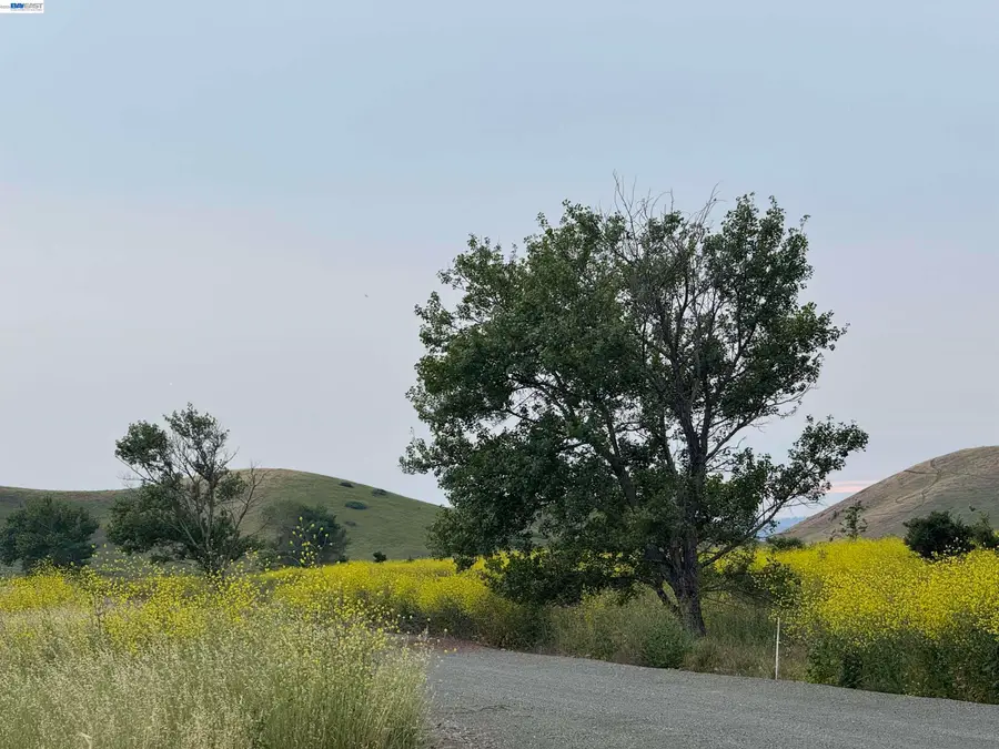 33513 Bardolph Cir, Fremont, CA 94555 - #3