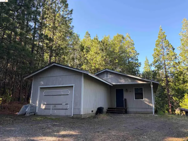 23490 Old Mueli Trl, TWAIN HARTE, CA 95383