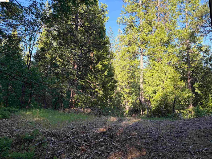 23490 Old Mueli Trl, Twain Harte, CA 95383 - #3