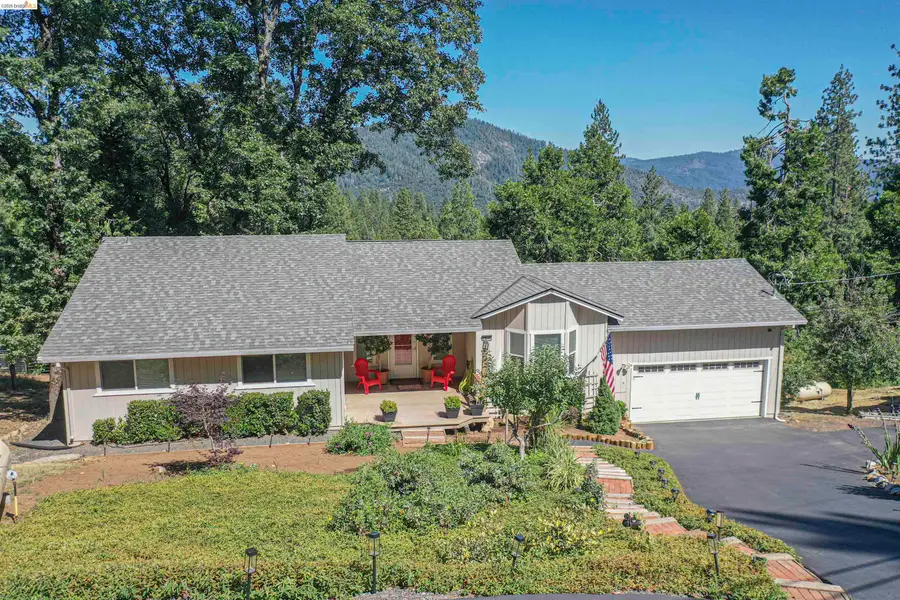 23845 Leisure Dr, Twain Harte, CA 95383 - #2