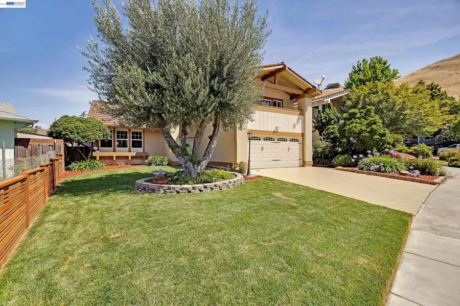 250 Melendez Avenue, Fremont, CA 94539 - #2