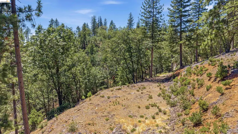 00 Old Oak Ranch Rd, Sonora, CA 95370 - #3