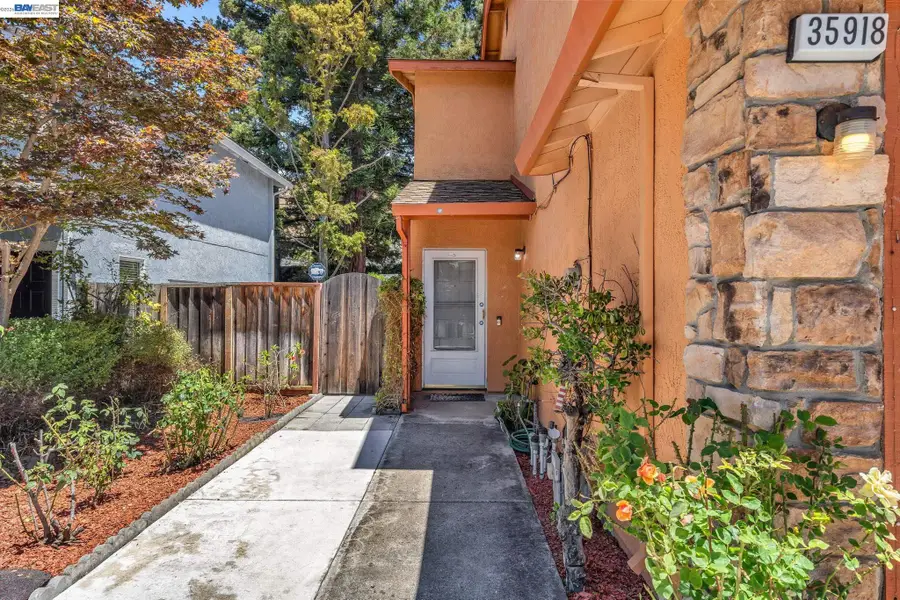 35918 Vivian Pl, Fremont, CA 94536 - #3