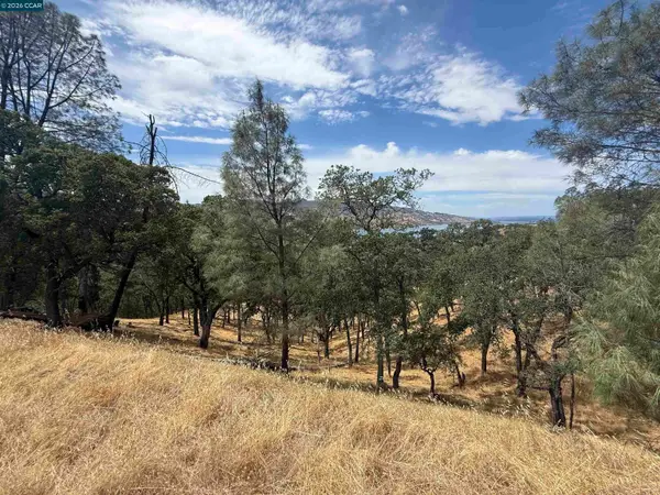1123 Steele Canyon Rd., NAPA, CA 94558