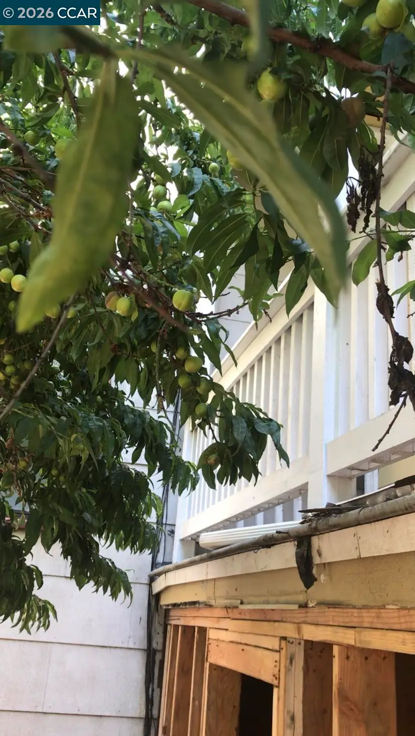3529 Mission St, San Francisco, CA 94110 - #2