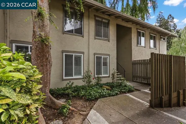 1241 Homestead Ave  #206, WALNUT CREEK, CA 94598